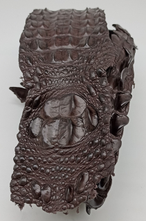 Krokodýl pás kůže ze hřbetu - hnědý
